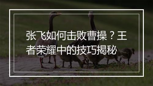 张飞如何击败曹操?王者荣耀中的技巧揭秘