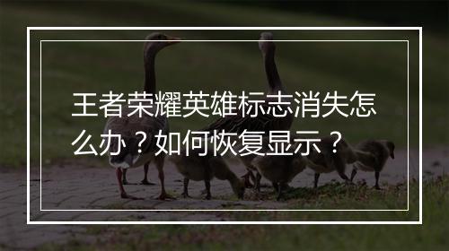 王者荣耀英雄标志消失怎么办？如何恢复显示？