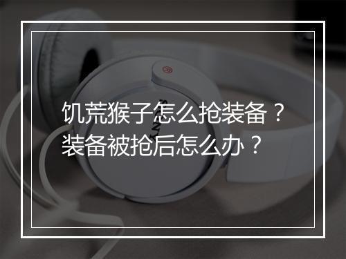 饥荒猴子怎么抢装备？装备被抢后怎么办？