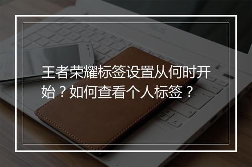 王者荣耀标签设置从何时开始？如何查看个人标签？
