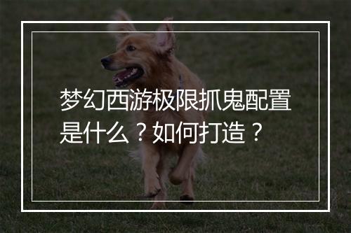 梦幻西游极限抓鬼配置是什么？如何打造？