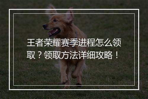 王者荣耀赛季进程怎么领取？领取方法详细攻略！