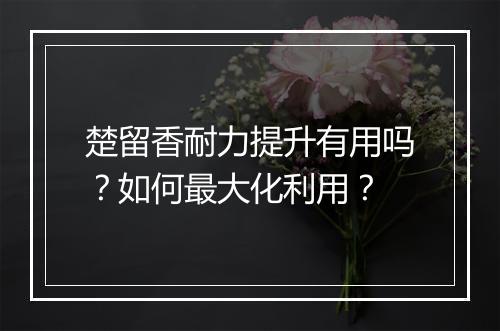 楚留香耐力提升有用吗？如何最大化利用？