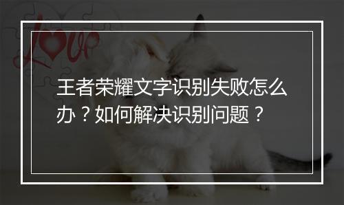 王者荣耀文字识别失败怎么办?如何解决识别问题?