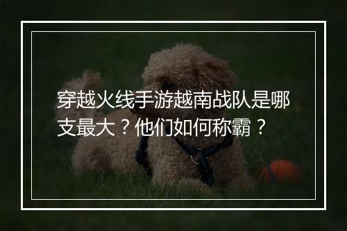 穿越火线手游越南战队是哪支最大?他们如何称霸?