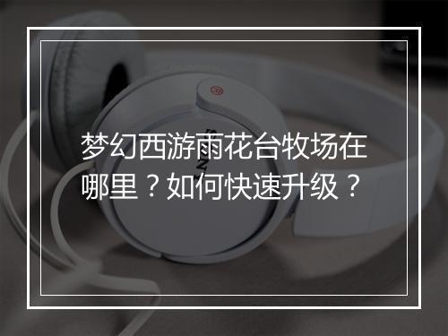 梦幻西游雨花台牧场在哪里？如何快速升级？
