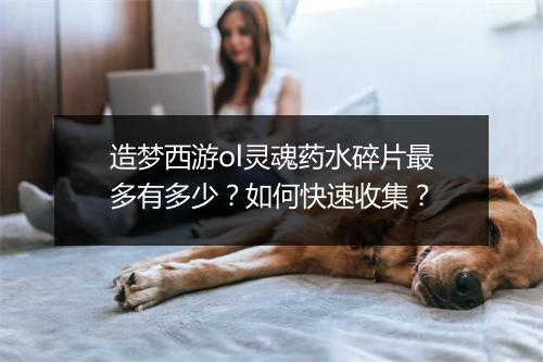 造梦西游ol灵魂药水碎片最多有多少?如何快速收集?