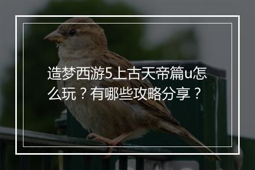 造梦西游5上古天帝篇u怎么玩？有哪些攻略分享？