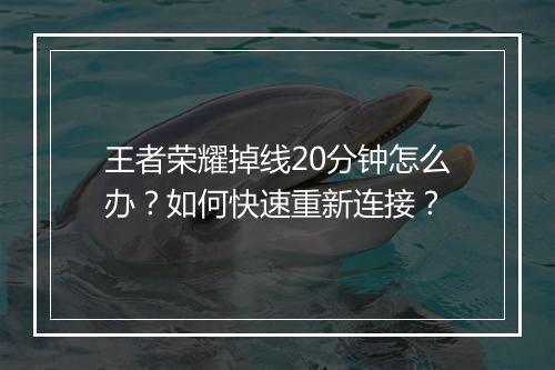 王者荣耀掉线20分钟怎么办?如何快速重新连接?