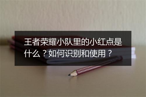 王者荣耀小队里的小红点是什么？如何识别和使用？