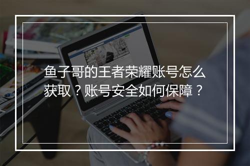 鱼子哥的王者荣耀账号怎么获取？账号安全如何保障？