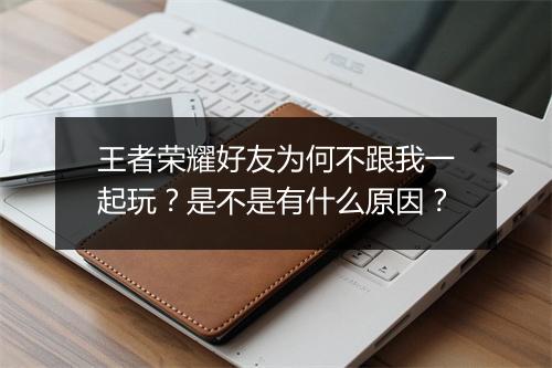 王者荣耀好友为何不跟我一起玩?是不是有什么原因?