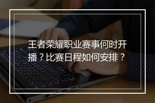 王者荣耀职业赛事何时开播?比赛日程如何安排?