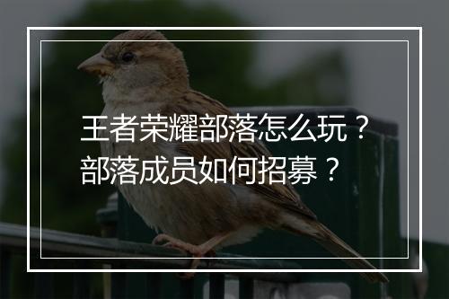 王者荣耀部落怎么玩？部落成员如何招募？