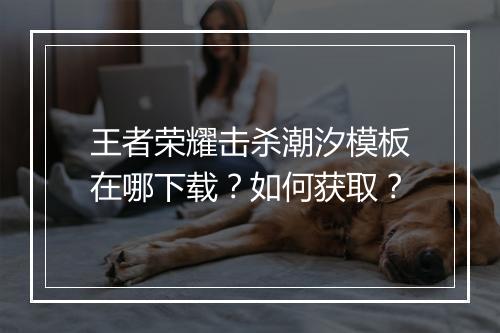王者荣耀击杀潮汐模板在哪下载？如何获取？