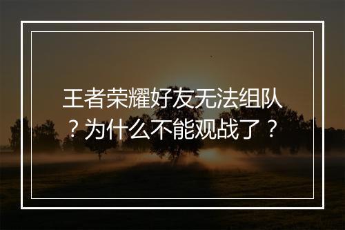 王者荣耀好友无法组队?为什么不能观战了?