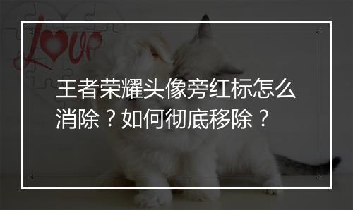 王者荣耀头像旁红标怎么消除?如何彻底移除?