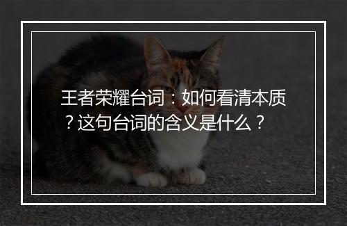 王者荣耀台词:如何看清本质?这句台词的含义是什么?