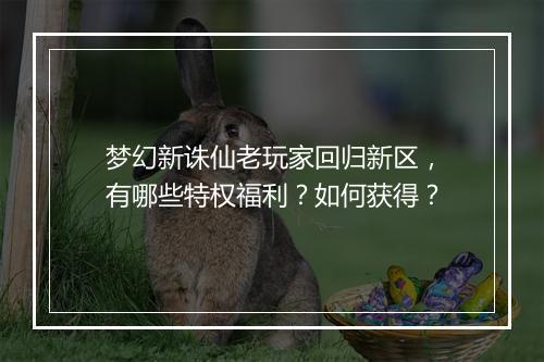 梦幻新诛仙老玩家回归新区,有哪些特权福利?如何获得?