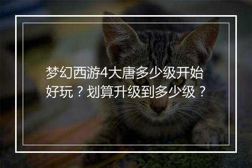 梦幻西游4大唐多少级开始好玩?划算升级到多少级?