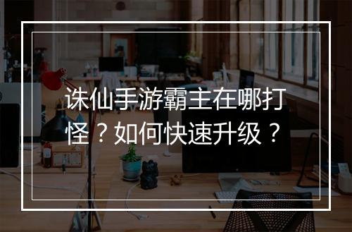 诛仙手游霸主在哪打怪?如何快速升级?
