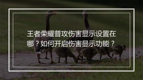 王者荣耀普攻伤害显示设置在哪?如何开启伤害显示功能?