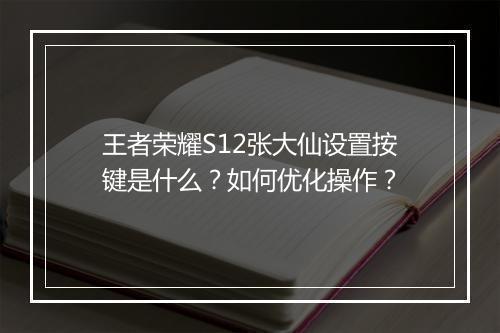 王者荣耀S12张大仙设置按键是什么?如何优化操作?