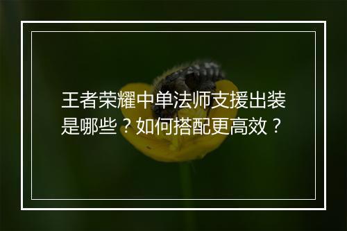 王者荣耀中单法师支援出装是哪些？如何搭配更高效？