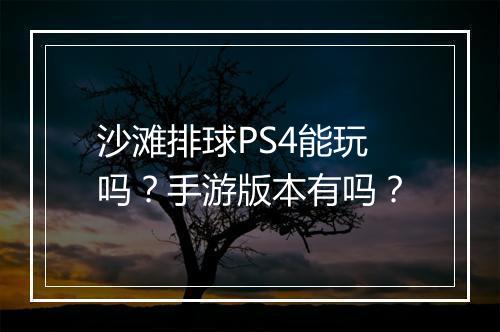 沙滩排球PS4能玩吗?手游版本有吗?