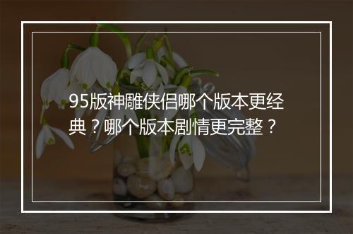 95版神雕侠侣哪个版本更经典?哪个版本剧情更完整?