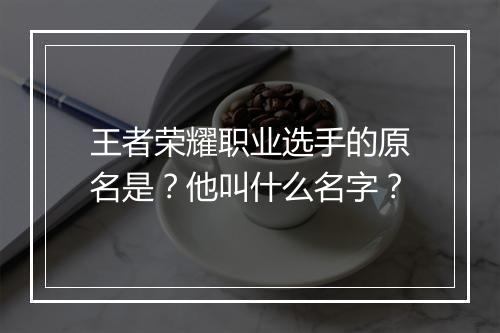 王者荣耀职业选手的原名是？他叫什么名字？