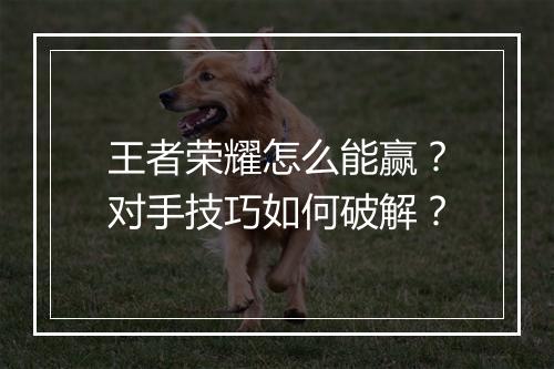 王者荣耀怎么能赢?对手技巧如何破解?