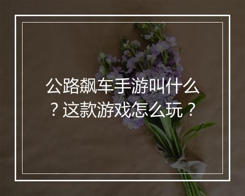 公路飙车手游叫什么?这款游戏怎么玩?