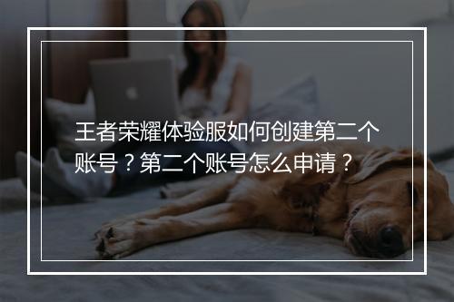 王者荣耀体验服如何创建第二个账号?第二个账号怎么申请?
