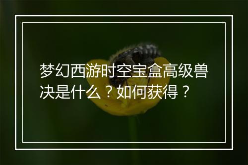 梦幻西游时空宝盒高级兽决是什么?如何获得?