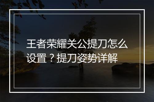 王者荣耀关公提刀怎么设置?提刀姿势详解