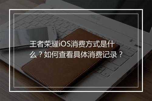 王者荣耀iOS消费方式是什么？如何查看具体消费记录？