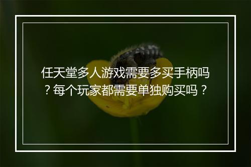 任天堂多人游戏需要多买手柄吗?每个玩家都需要单独购买吗?