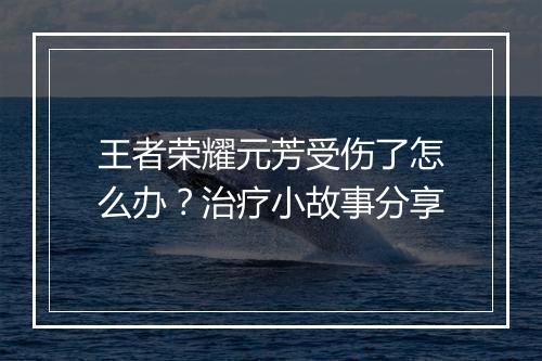 王者荣耀元芳受伤了怎么办？治疗小故事分享