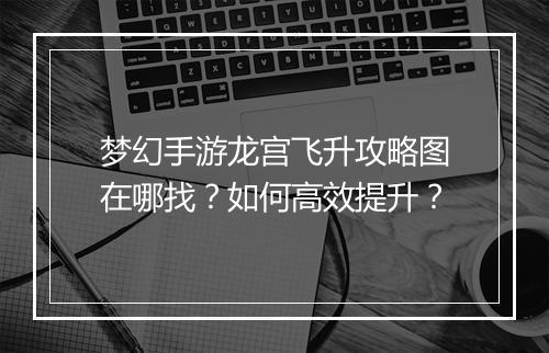 梦幻手游龙宫飞升攻略图在哪找？如何高效提升？