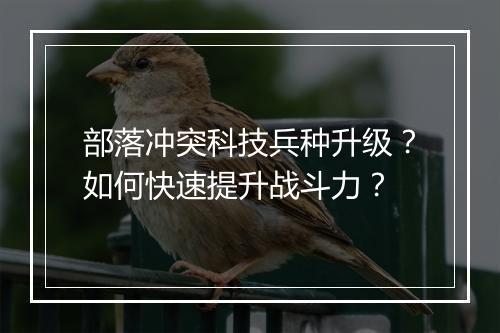 部落冲突科技兵种升级？如何快速提升战斗力？