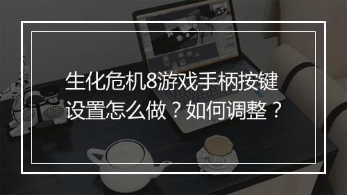 生化危机8游戏手柄按键设置怎么做?如何调整?