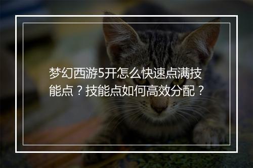 梦幻西游5开怎么快速点满技能点?技能点如何高效分配?