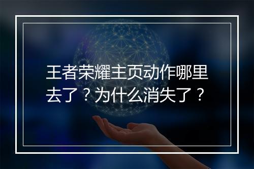 王者荣耀主页动作哪里去了?为什么消失了?
