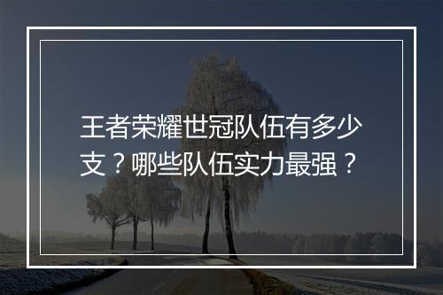 王者荣耀世冠队伍有多少支？哪些队伍实力最强？