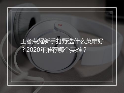 王者荣耀新手打野选什么英雄好？2020年推荐哪个英雄？