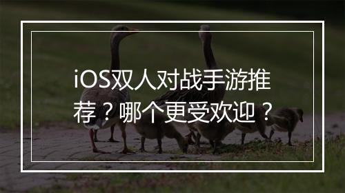iOS双人对战手游推荐?哪个更受欢迎?