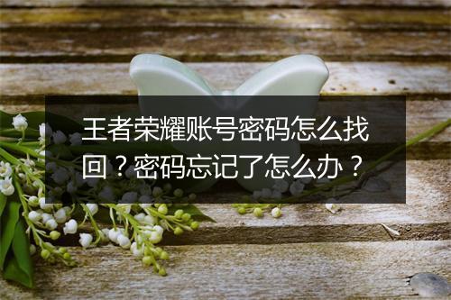 王者荣耀账号密码怎么找回？密码忘记了怎么办？