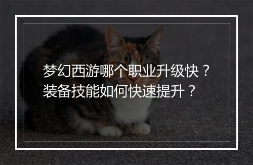 梦幻西游哪个职业升级快?装备技能如何快速提升?
