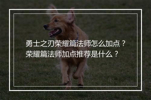 勇士之刃荣耀篇法师怎么加点？荣耀篇法师加点推荐是什么？